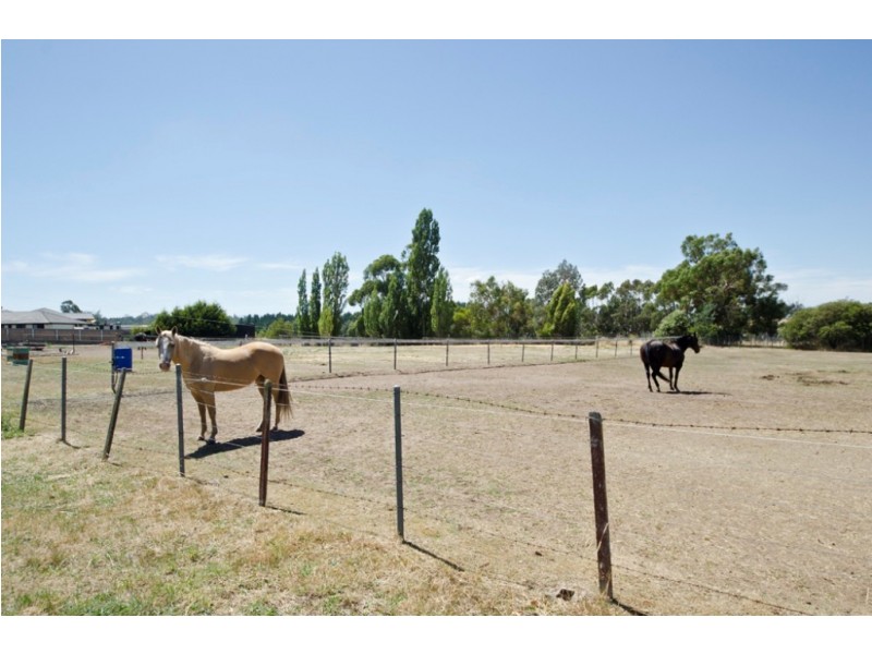 2 and 2A George Street, Perth TAS 7300