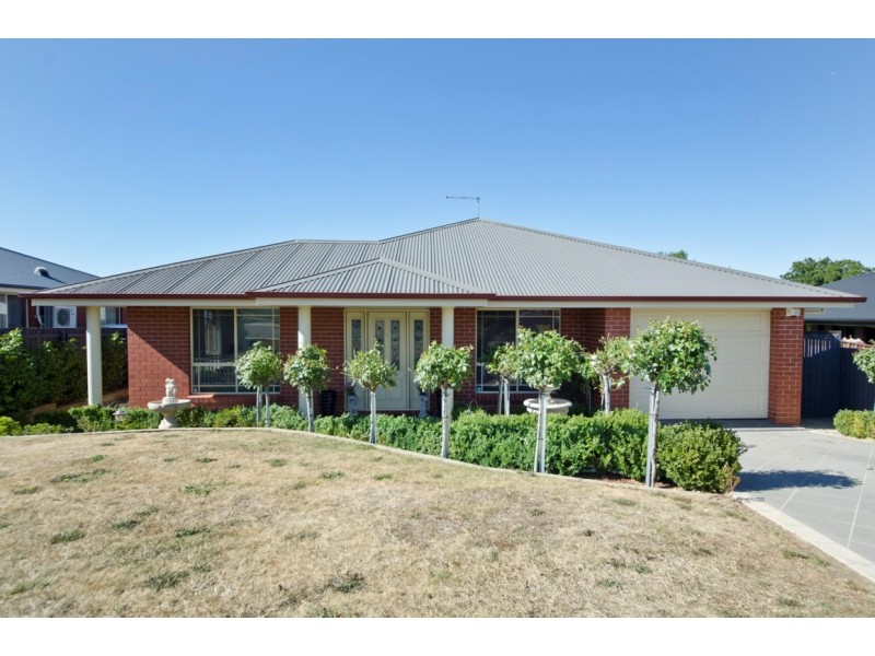 7 Molecombe Drive, Prospect Vale TAS 7250