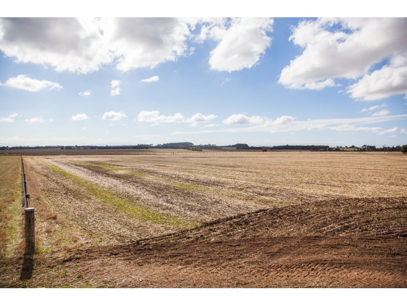 869 Bishopsbourne Road, Bishopsbourne TAS 7301