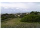 37 Seascape Drive, Lulworth TAS 7252