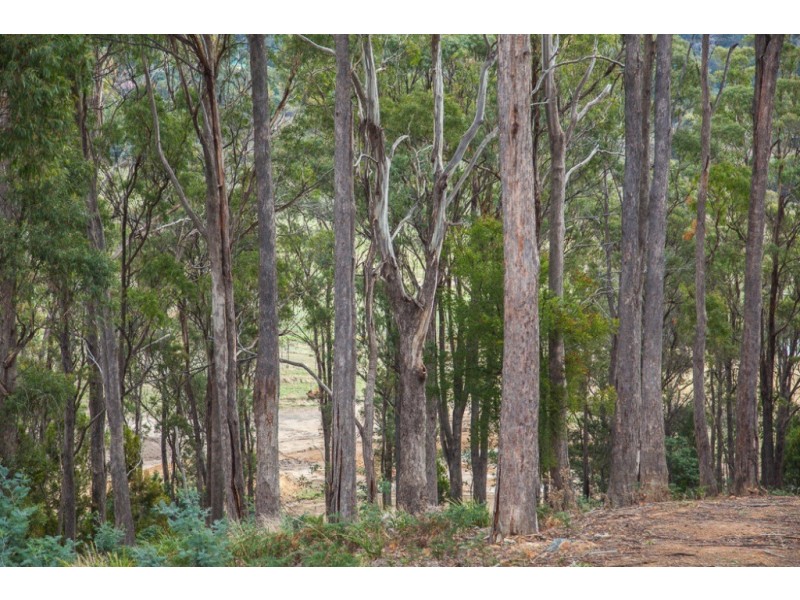 Lot 19 Edzell Court, Riverside TAS 7250