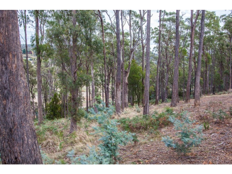 Lot 19 Edzell Court, Riverside TAS 7250