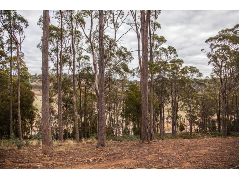 Lot 19 Edzell Court, Riverside TAS 7250