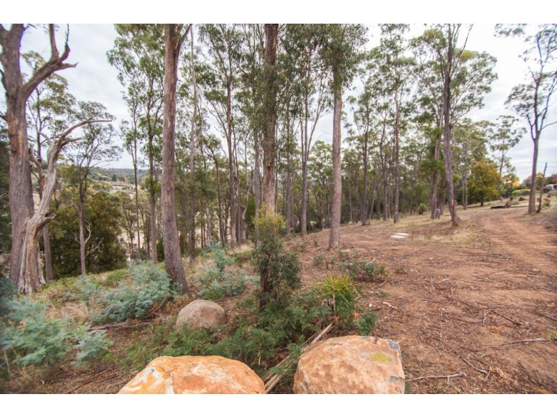 Lot 19 Edzell Court, Riverside TAS 7250