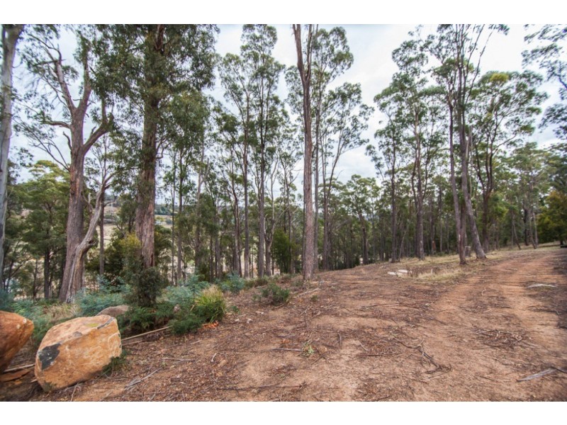 Lot 19 Edzell Court, Riverside TAS 7250