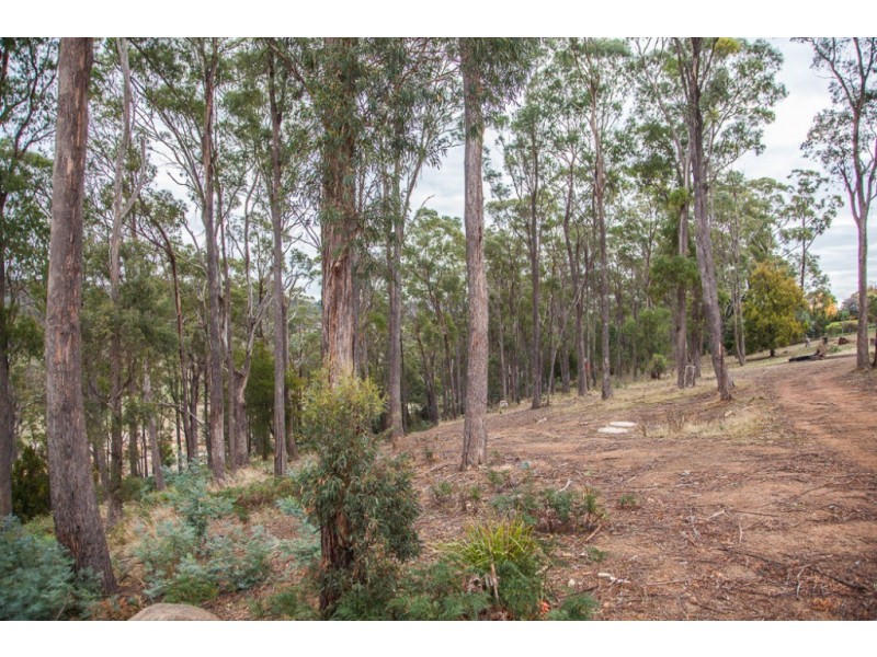 Lot 19 Edzell Court, Riverside TAS 7250