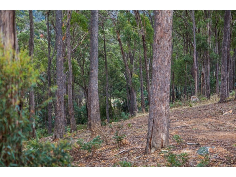 Lot 19 Edzell Court, Riverside TAS 7250