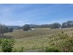 116 Stewarts Road, Winkleigh TAS 7275