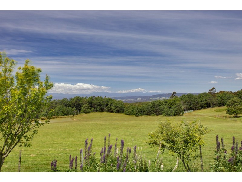 45 Hodgetts Road, Holwell TAS 7275