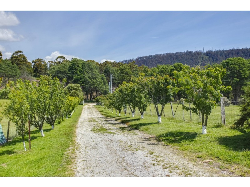 45 Hodgetts Road, Holwell TAS 7275