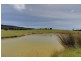 45 Hodgetts Road, Holwell TAS 7275