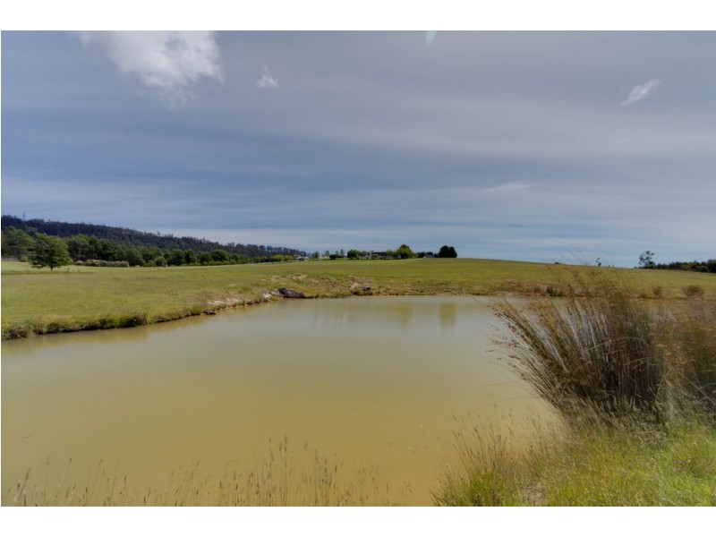 45 Hodgetts Road, Holwell TAS 7275
