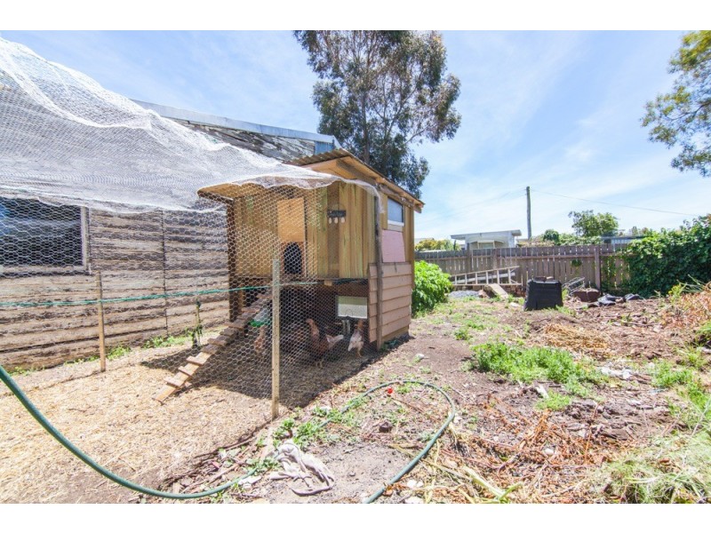49 Main Street, Cressy TAS 7302