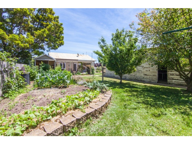 49 Main Street, Cressy TAS 7302