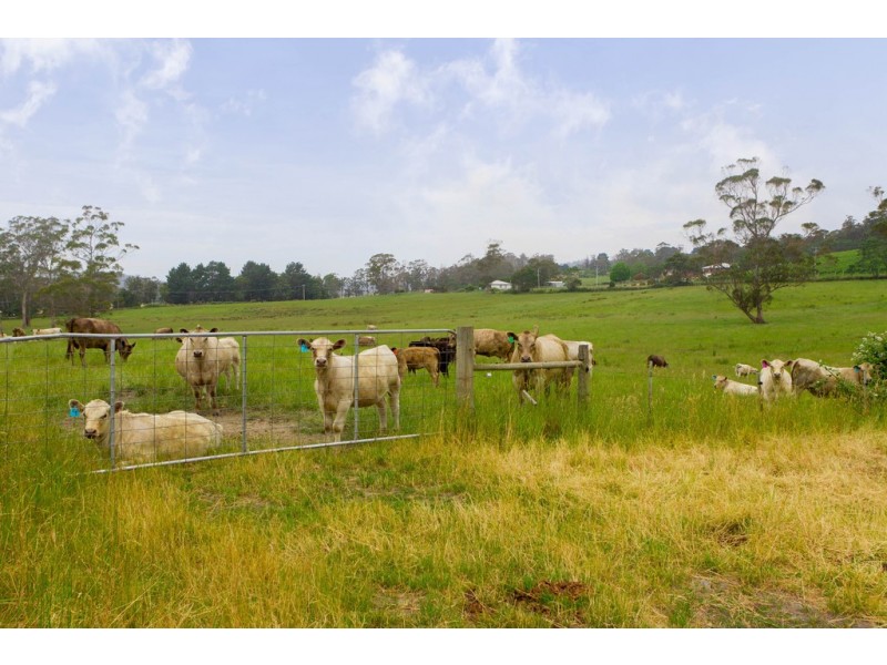 3394 West Tamar Highway, Sidmouth TAS 7270