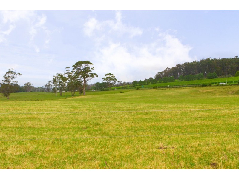 3394 West Tamar Highway, Sidmouth TAS 7270