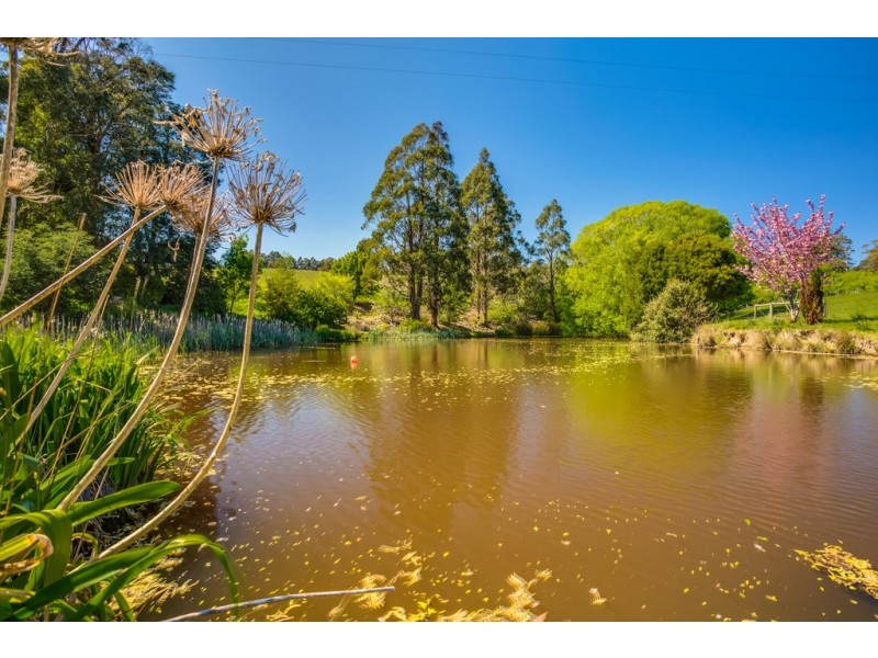 33 McBains Road, Glengarry TAS 7275