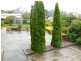46 Lavender Grove, Summerhill TAS 7250