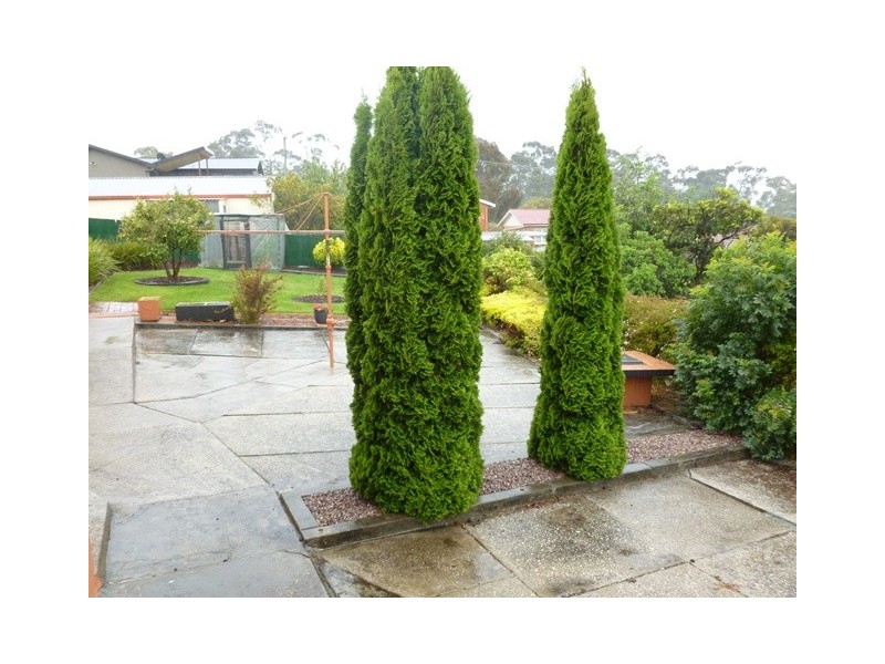 46 Lavender Grove, Summerhill TAS 7250