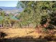 West Launceston TAS 7250