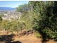West Launceston TAS 7250
