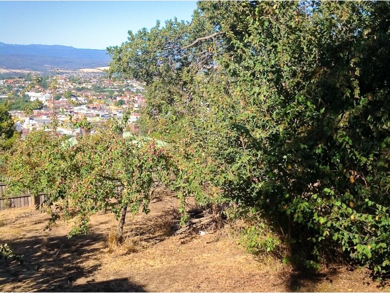 West Launceston TAS 7250