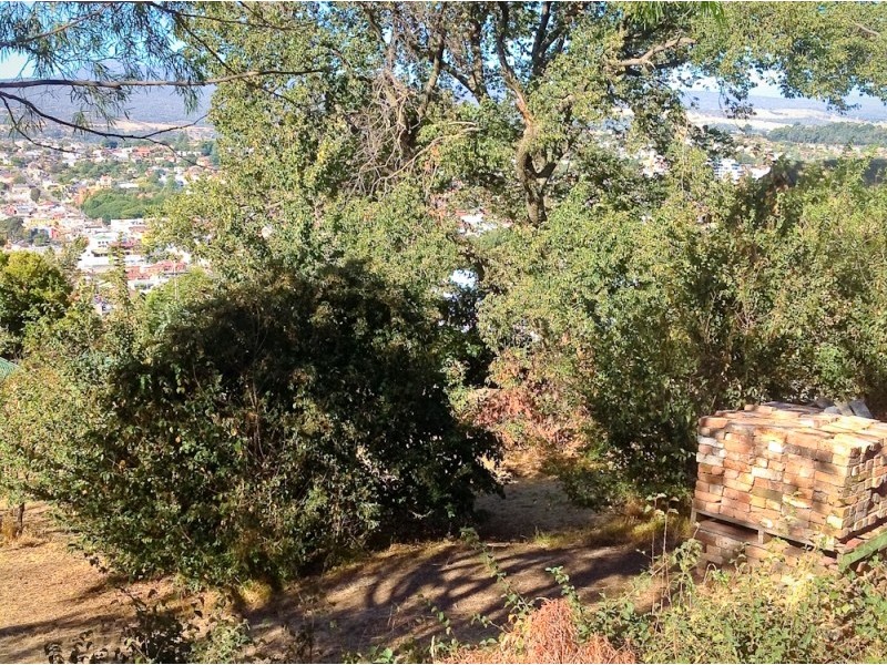 West Launceston TAS 7250