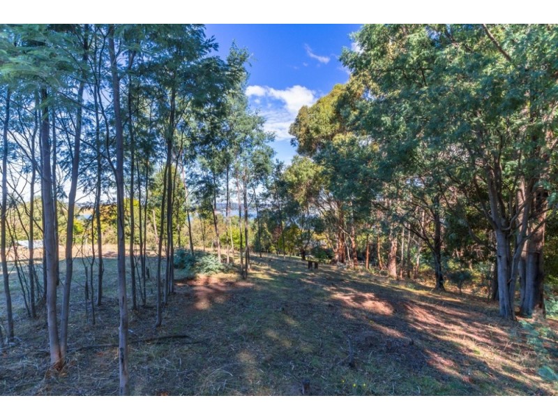 162 Windermere Road, Windermere TAS 7252