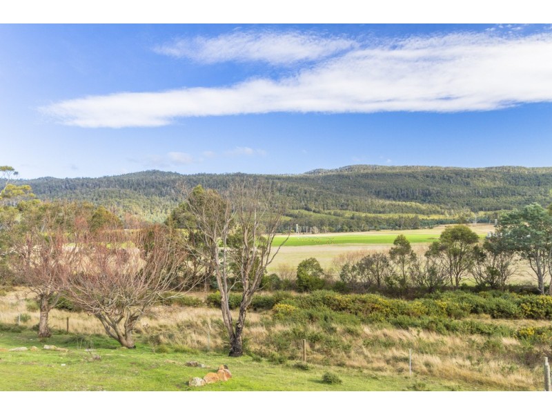 780 Cluan Road, Cluan TAS 7303