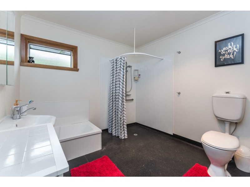 12 Morshead Street, Punchbowl TAS 7249