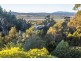 5 Natalie Court, Riverside TAS 7250