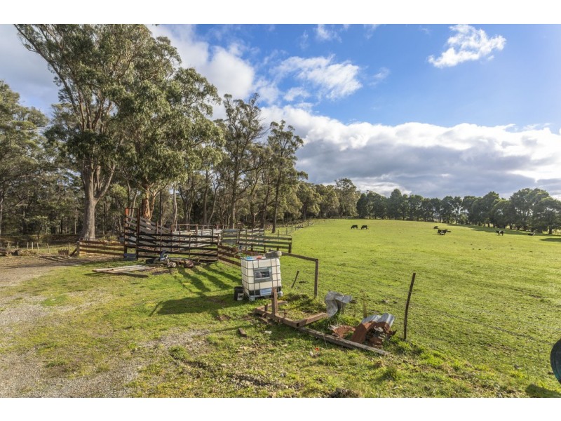155 Motor Road, Deviot TAS 7275