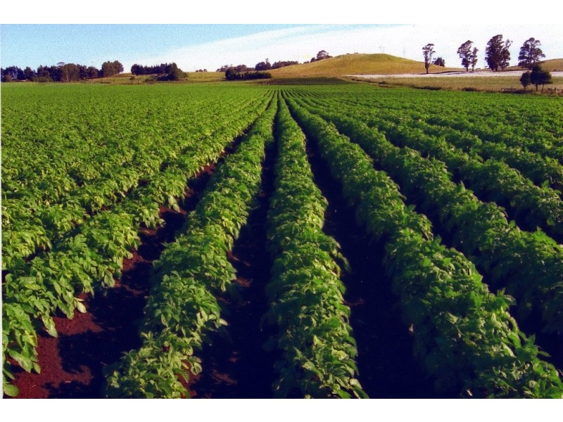 1479 Sheffield Road, Barrington TAS 7306