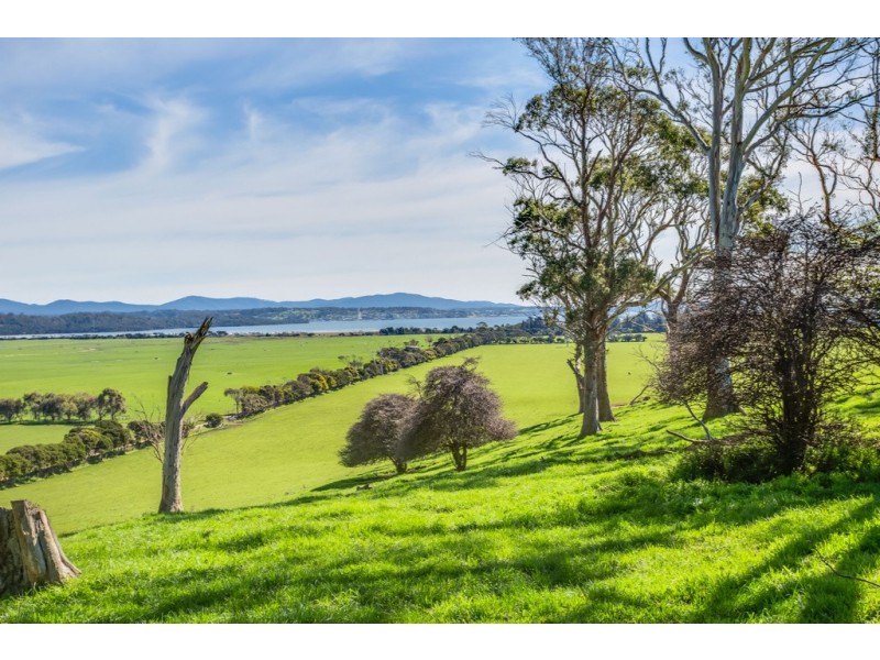 3 Brodies Road, Rowella TAS 7270