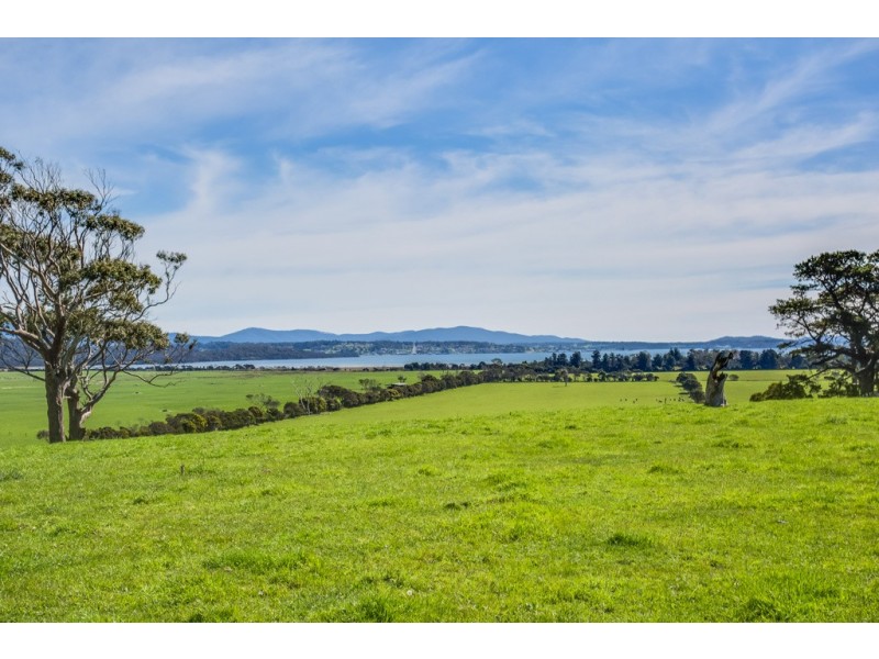 3 Brodies Road, Rowella TAS 7270