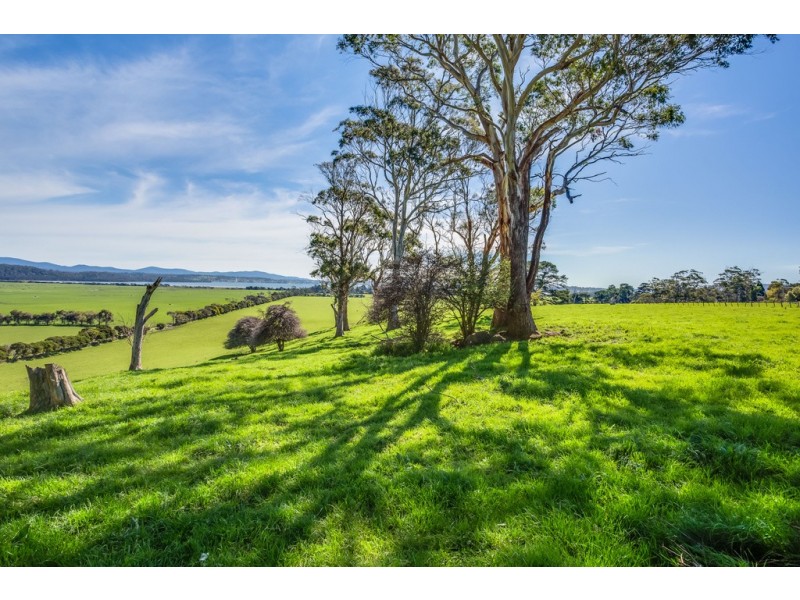 3 Brodies Road, Rowella TAS 7270