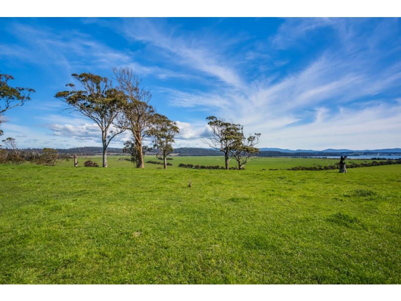 3 Brodies Road, Rowella TAS 7270