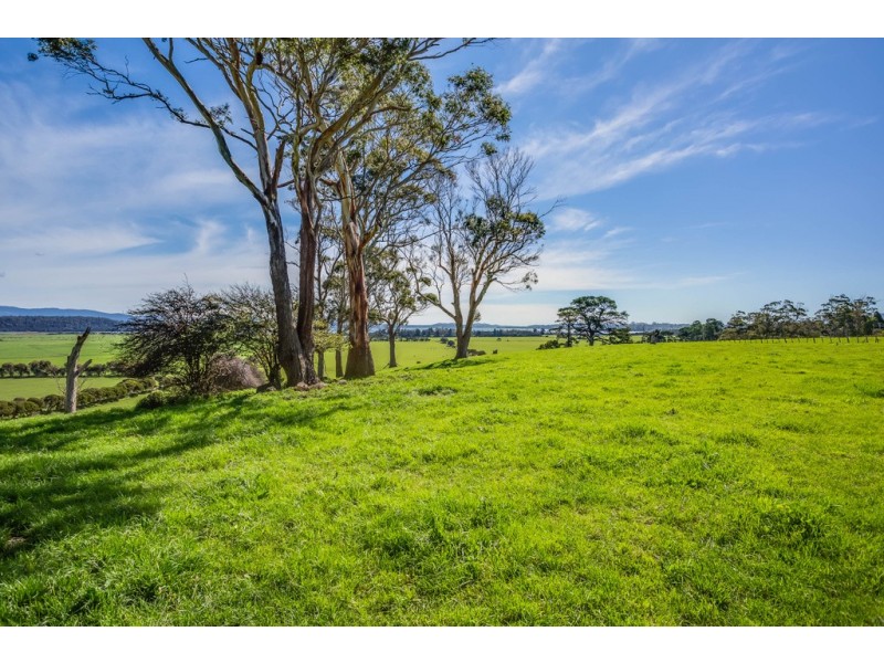 3 Brodies Road, Rowella TAS 7270