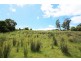 251 John Lees Drive, Dilston TAS 7252