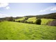 163 Turkey Farm Road, Glengarry TAS 7275