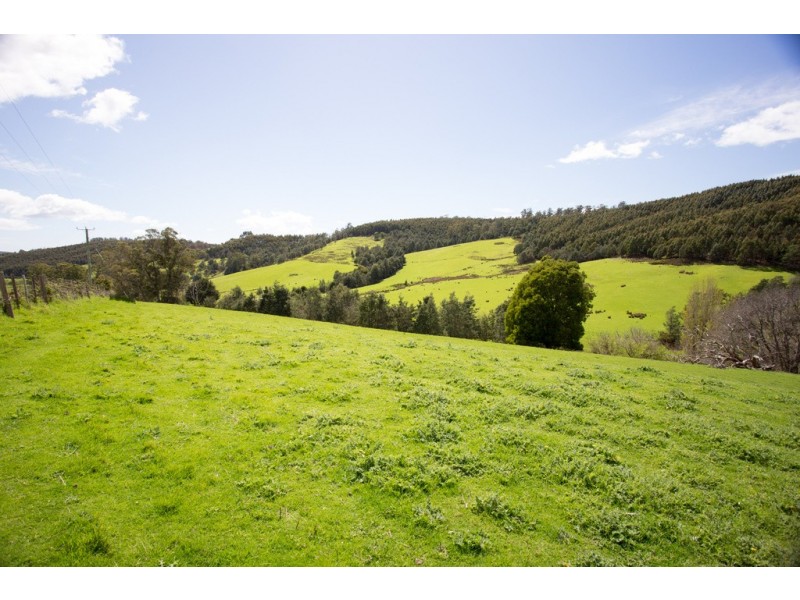 163 Turkey Farm Road, Glengarry TAS 7275