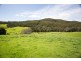 163 Turkey Farm Road, Glengarry TAS 7275