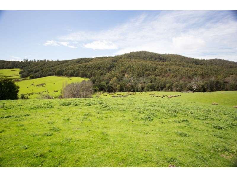 163 Turkey Farm Road, Glengarry TAS 7275