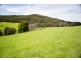 163 Turkey Farm Road, Glengarry TAS 7275