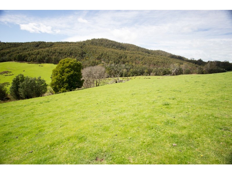 163 Turkey Farm Road, Glengarry TAS 7275