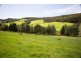 163 Turkey Farm Road, Glengarry TAS 7275