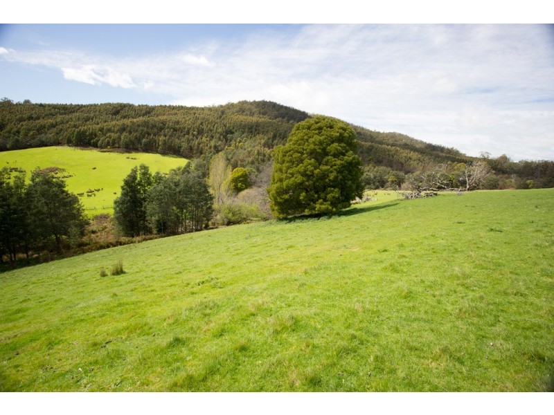 163 Turkey Farm Road, Glengarry TAS 7275