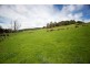 163 Turkey Farm Road, Glengarry TAS 7275