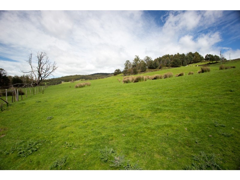 163 Turkey Farm Road, Glengarry TAS 7275