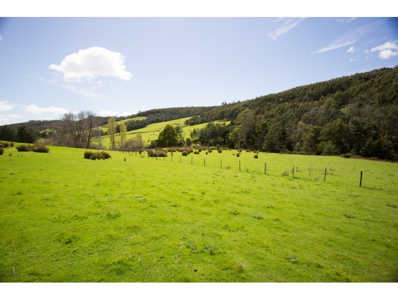 163 Turkey Farm Road, Glengarry TAS 7275